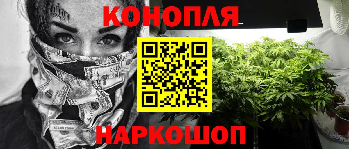 Канабис ГИДРОПОН  Шишки марихуана планчик  Шишки марихуана планчик  Вход с VPN  Жуковский  Канабис MAZAR 
